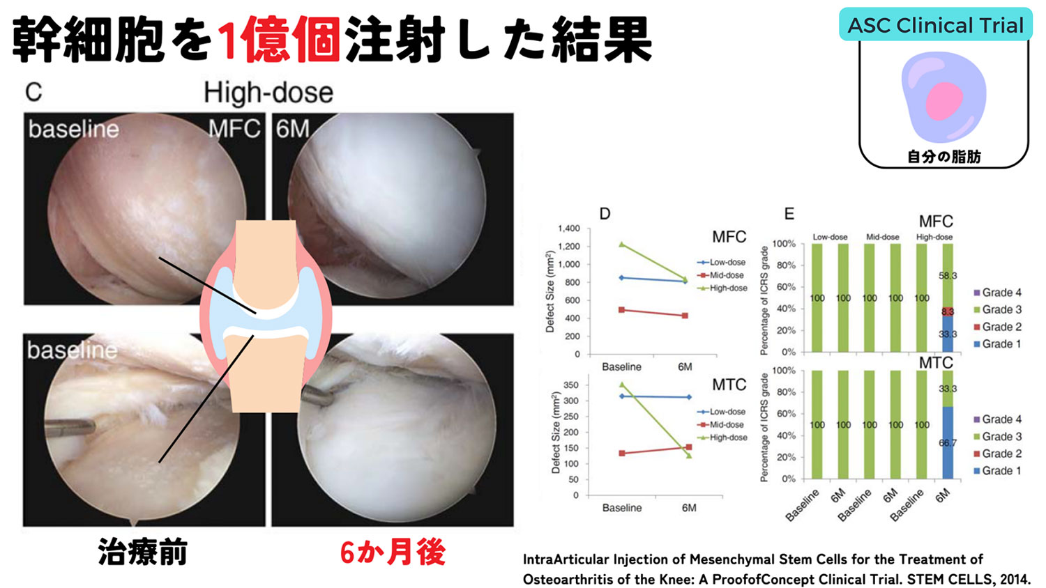 治療効果